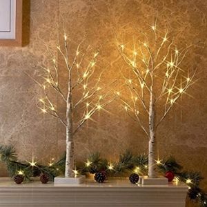 PEIDUO Set of 2 2FT 24LT Birch Tree LED Lights